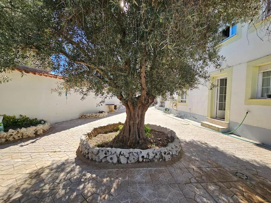 Vila La Casa Del Arbol Fuentiduena de Tajo Exteriér fotografie